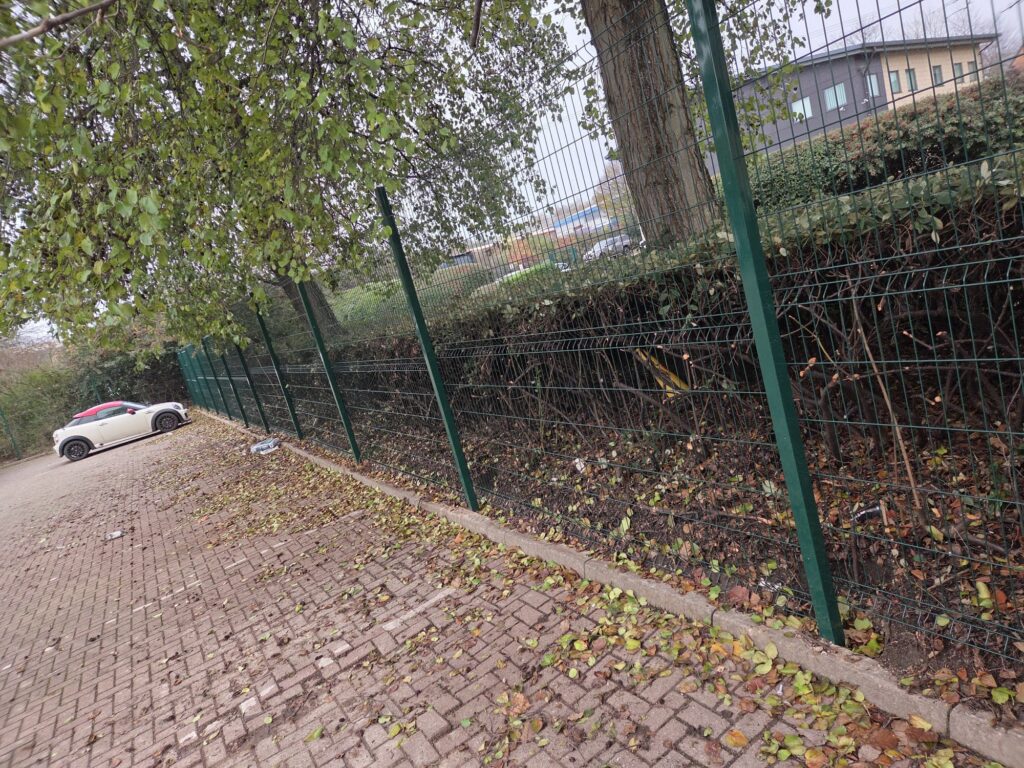Agricultural fencing installation with green mesh panels and a parked white sports car, surrounded by fallen leaves and trees, illustrating CK Fencing Contractors' expertise in fencing solutions.