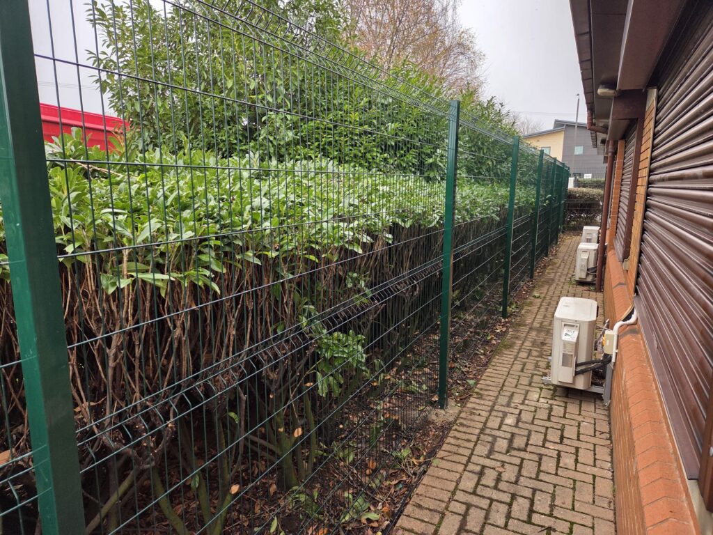 Agricultural demarcation fencing alongside a pathway, featuring green mesh panels and dense hedges, illustrating CK Fencing Contractors' installation services.